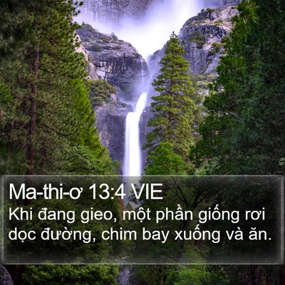 Ma-thi-ơ 13:4 VIE Bible Verse Image
