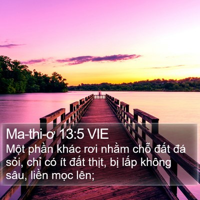 Ma-thi-ơ 13:5 VIE Bible Verse Image