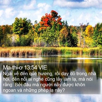 Ma-thi-ơ 13:54 VIE Bible Verse Image