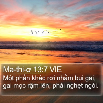 Ma-thi-ơ 13:7 VIE Bible Verse Image