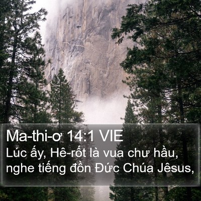 Ma-thi-ơ 14:1 VIE Bible Verse Image