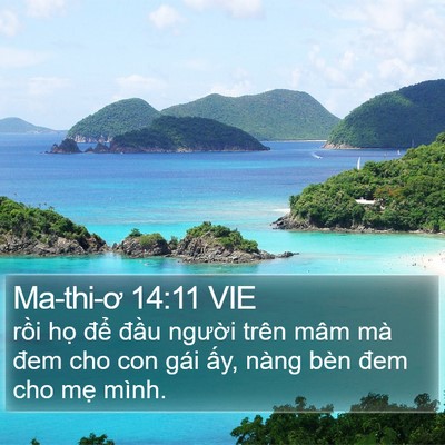 Ma-thi-ơ 14:11 VIE Bible Verse Image