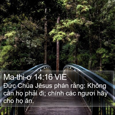 Ma-thi-ơ 14:16 VIE Bible Verse Image