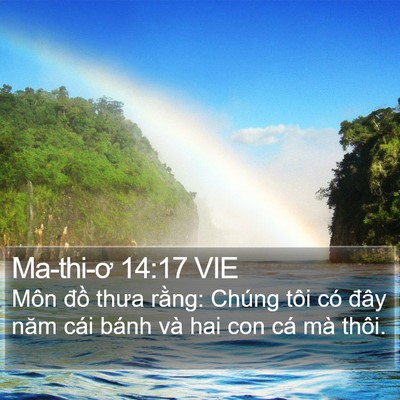 Ma-thi-ơ 14:17 VIE Bible Verse Image