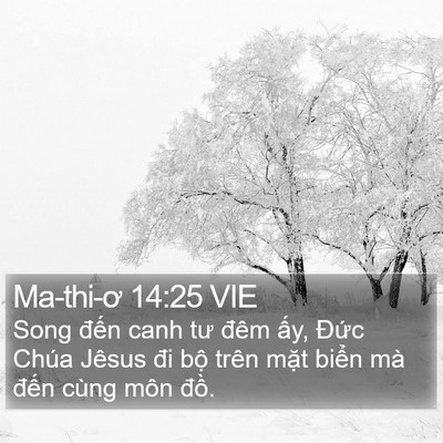 Ma-thi-ơ 14:25 VIE Bible Verse Image