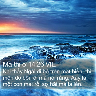 Ma-thi-ơ 14:26 VIE Bible Verse Image