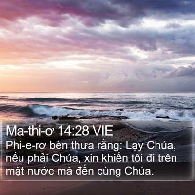 Ma-thi-ơ 14:28 VIE Bible Verse Image