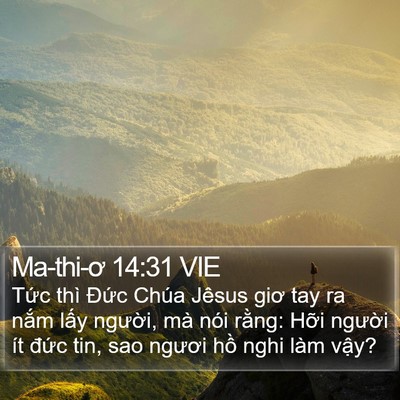 Ma-thi-ơ 14:31 VIE Bible Verse Image