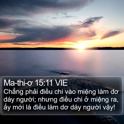 Ma-thi-ơ 15:11 VIE Bible Verse Image