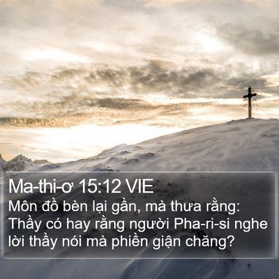 Ma-thi-ơ 15:12 VIE Bible Verse Image