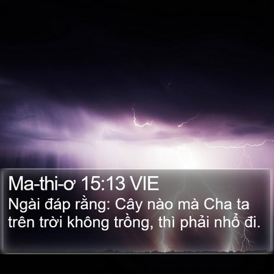 Ma-thi-ơ 15:13 VIE Bible Verse Image