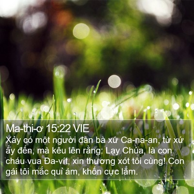 Ma-thi-ơ 15:22 VIE Bible Verse Image