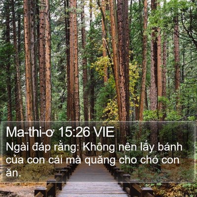 Ma-thi-ơ 15:26 VIE Bible Verse Image