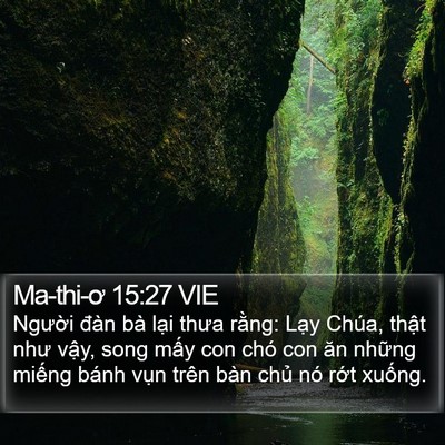 Ma-thi-ơ 15:27 VIE Bible Verse Image
