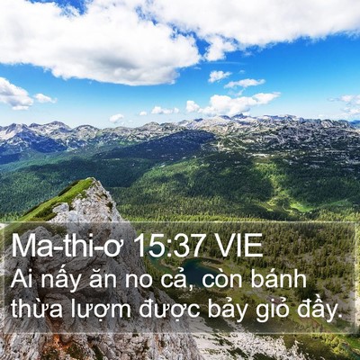 Ma-thi-ơ 15:37 VIE Bible Verse Image