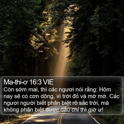 Ma-thi-ơ 16:3 VIE Bible Verse Image