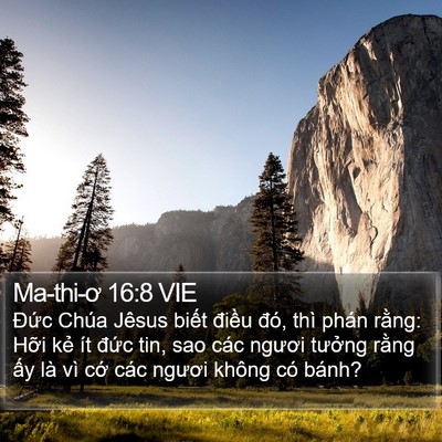 Ma-thi-ơ 16:8 VIE Bible Verse Image