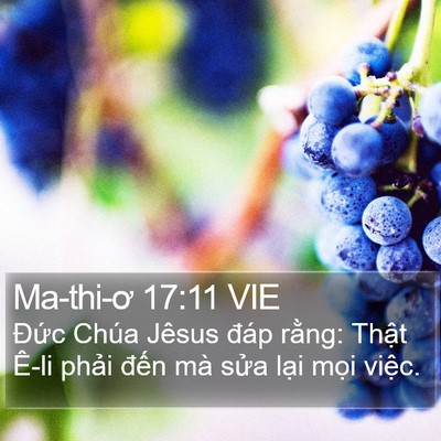 Ma-thi-ơ 17:11 VIE Bible Verse Image