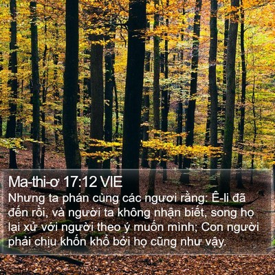 Ma-thi-ơ 17:12 VIE Bible Verse Image