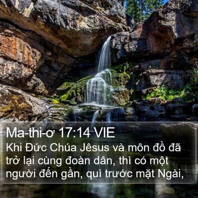 Ma-thi-ơ 17:14 VIE Bible Verse Image