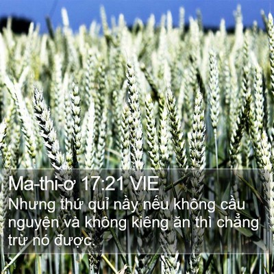 Ma-thi-ơ 17:21 VIE Bible Verse Image