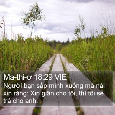 Ma-thi-ơ 18:29 VIE Bible Verse Image