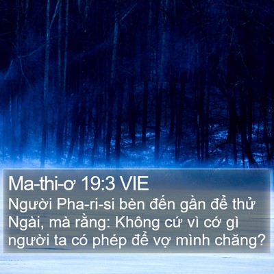 Ma-thi-ơ 19:3 VIE Bible Verse Image