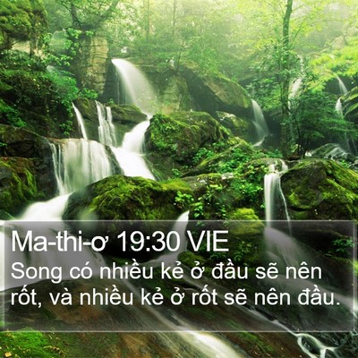 Ma-thi-ơ 19:30 VIE Bible Verse Image