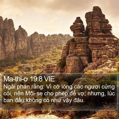 Ma-thi-ơ 19:8 VIE Bible Verse Image