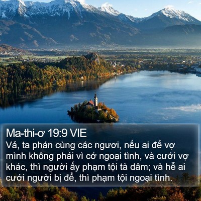 Ma-thi-ơ 19:9 VIE Bible Verse Image