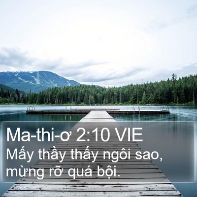 Ma-thi-ơ 2:10 VIE Bible Verse Image