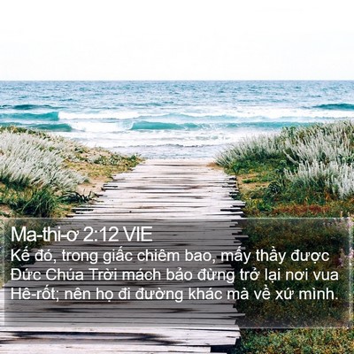 Ma-thi-ơ 2:12 VIE Bible Verse Image