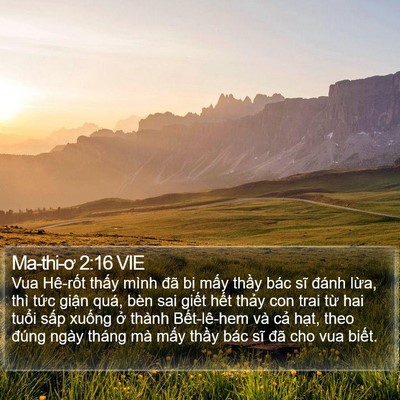 Ma-thi-ơ 2:16 VIE Bible Verse Image