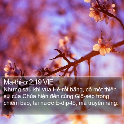 Ma-thi-ơ 2:19 VIE Bible Verse Image