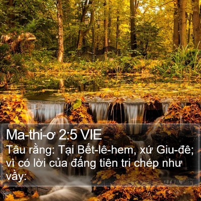 Ma-thi-ơ 2:5 VIE Bible Verse Image