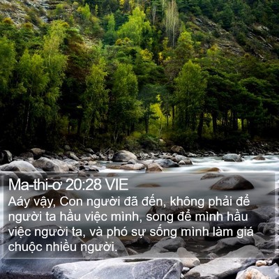 Ma-thi-ơ 20:28 VIE Bible Verse Image