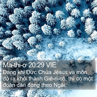 Ma-thi-ơ 20:29 VIE Bible Verse Image