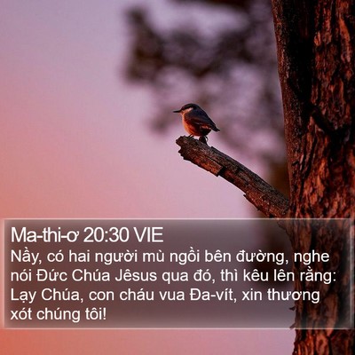 Ma-thi-ơ 20:30 VIE Bible Verse Image