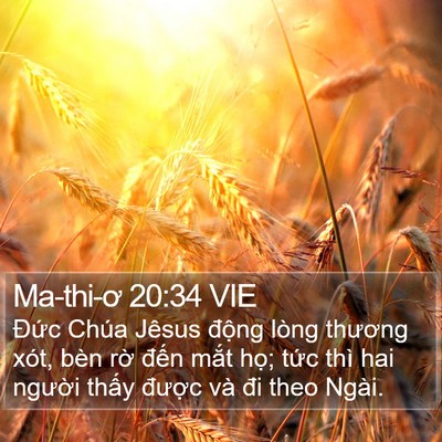 Ma-thi-ơ 20:34 VIE Bible Verse Image