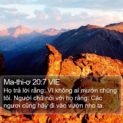 Ma-thi-ơ 20:7 VIE Bible Verse Image