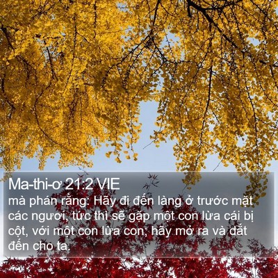 Ma-thi-ơ 21:2 VIE Bible Verse Image