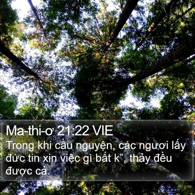 Ma-thi-ơ 21:22 VIE Bible Verse Image