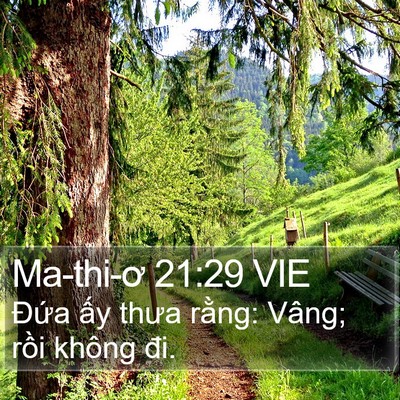 Ma-thi-ơ 21:29 VIE Bible Verse Image
