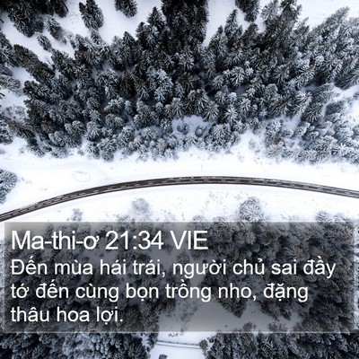 Ma-thi-ơ 21:34 VIE Bible Verse Image