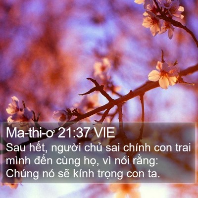 Ma-thi-ơ 21:37 VIE Bible Verse Image