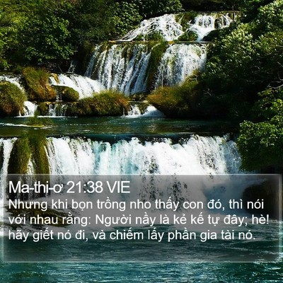 Ma-thi-ơ 21:38 VIE Bible Verse Image