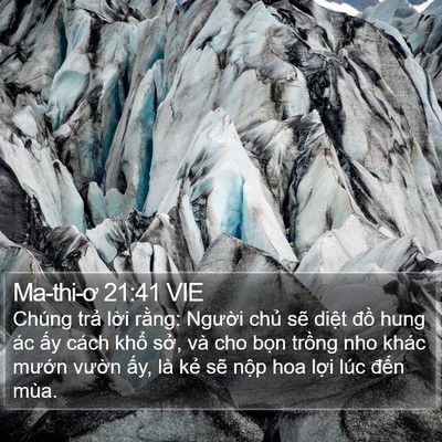 Ma-thi-ơ 21:41 VIE Bible Verse Image