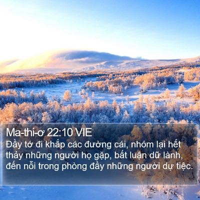Ma-thi-ơ 22:10 VIE Bible Verse Image