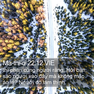 Ma-thi-ơ 22:12 VIE Bible Verse Image