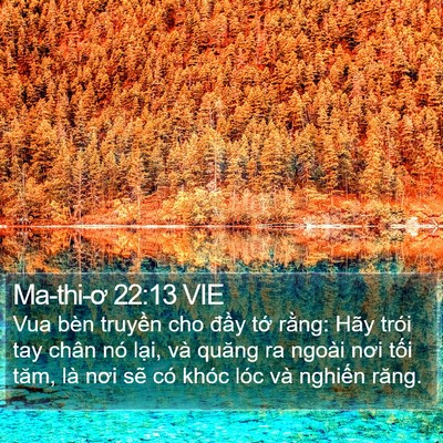 Ma-thi-ơ 22:13 VIE Bible Verse Image